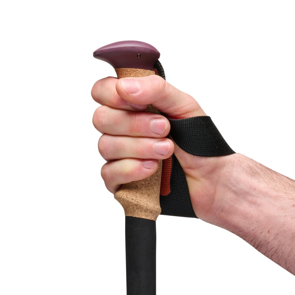 블랙다이아몬드,트레일 코크 트레킹 폴