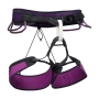 BD Purple