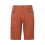 Burnt Sienna